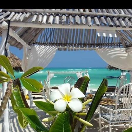 Luxury Simba House In Watamu ☆☆☆☆☆ Lejlighed Eksteriør billede