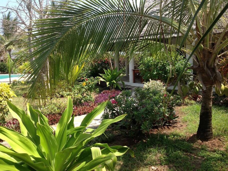 Luxury Simba House In Watamu ☆☆☆☆☆ Lejlighed Eksteriør billede